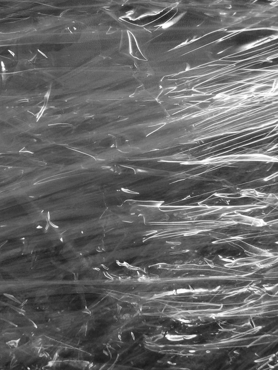 plastic foil